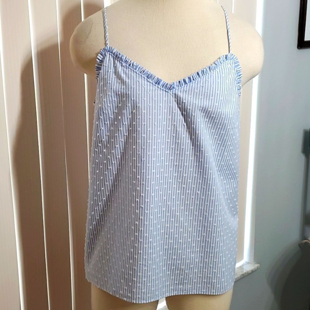 Lilly Pulitzer Blue and White Striped Tank Top